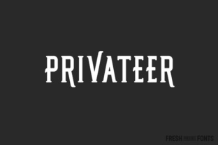 Mastering Visual Hierarchy: Why Privateer Is the Dual-Nature Serif Defining Modern Typography